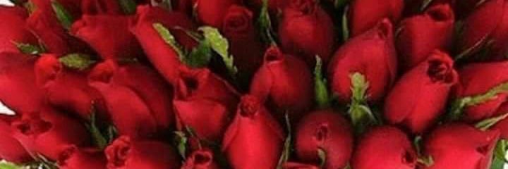 Mel_LoveUrself's profile banner image