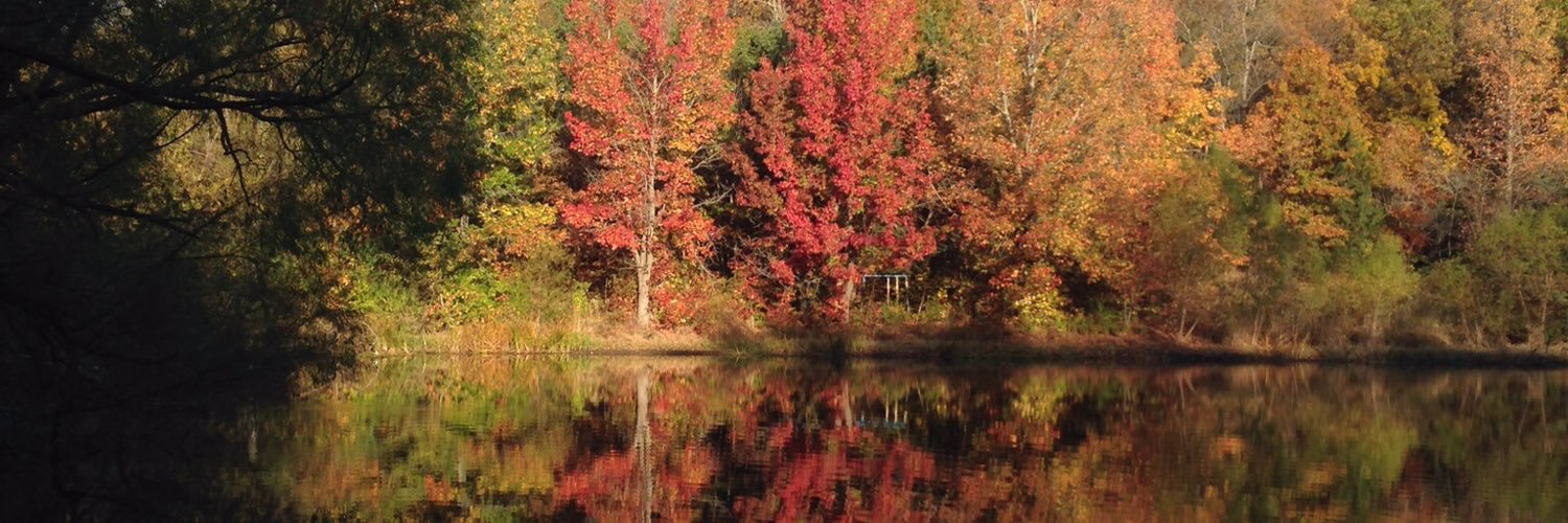 jerrock4's profile banner image