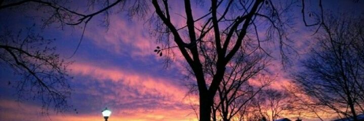 FarihaWaheed's profile banner image