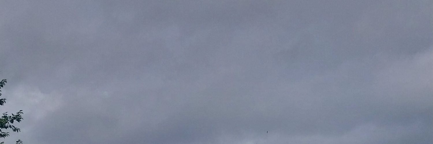 skylaxv's profile banner image
