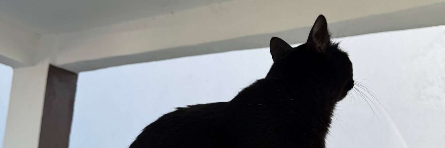 paubastiani's profile banner image
