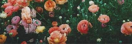 kellular_'s profile banner image