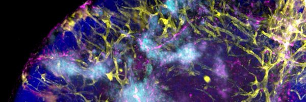 BrigDoesScience Profile Banner