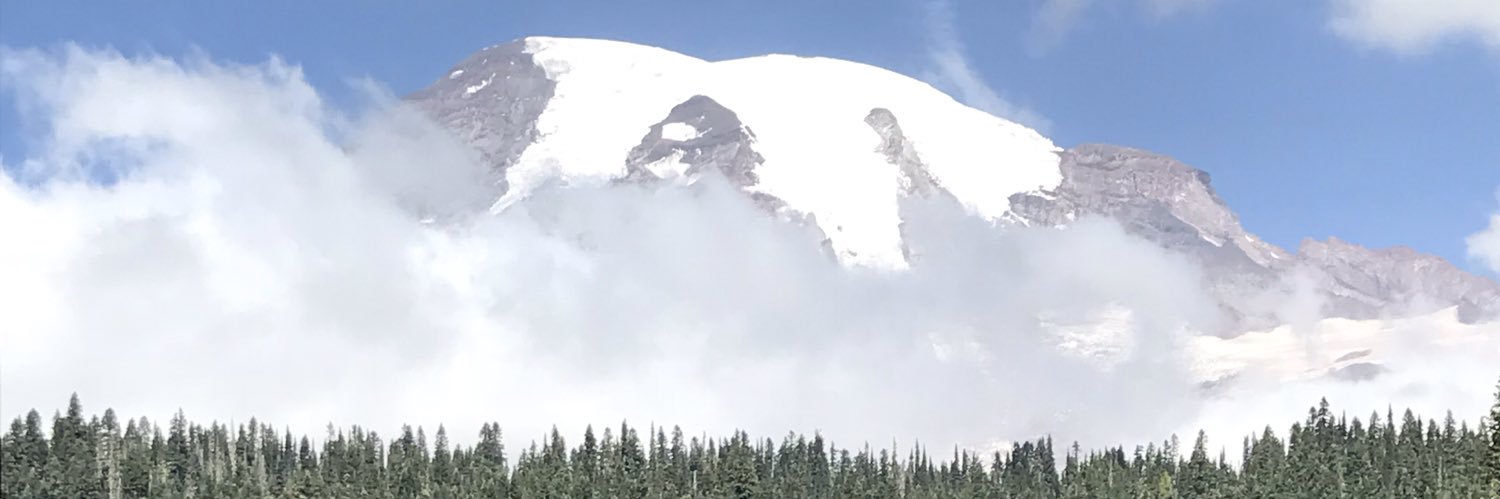 elfpalmer's profile banner image