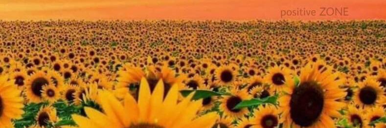 mady7212's profile banner image