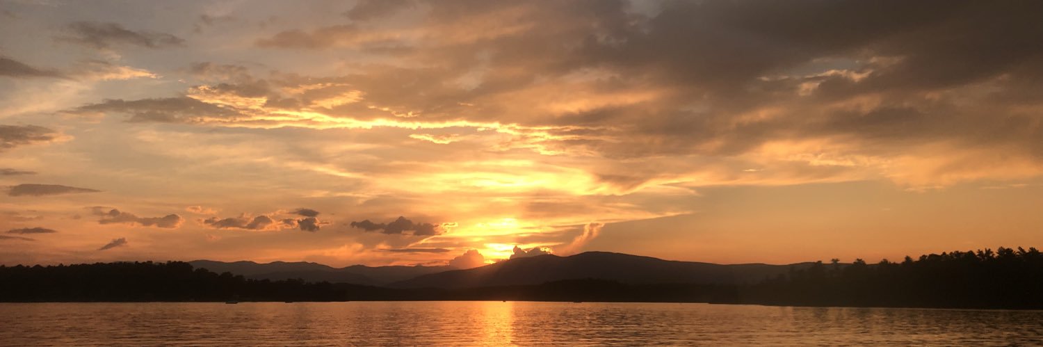 libnorvell's profile banner image