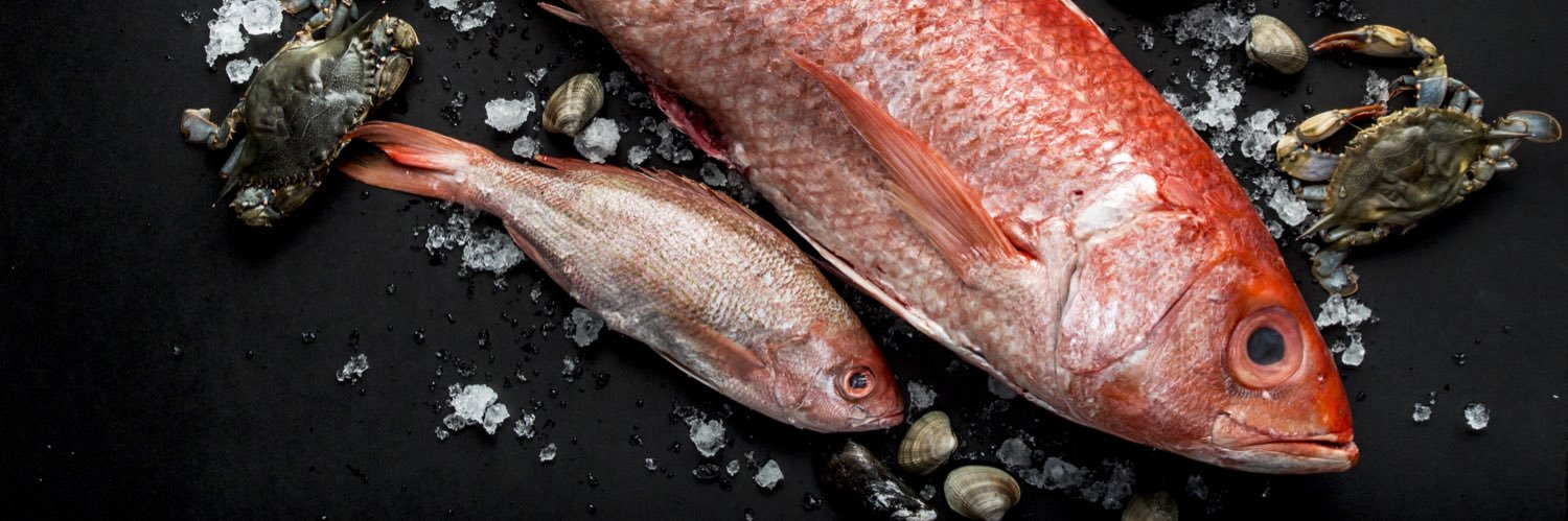 OneFifthHouston banner