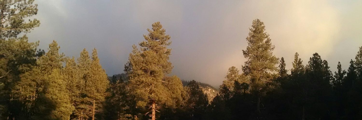 YavapaiGunWorks's profile banner image