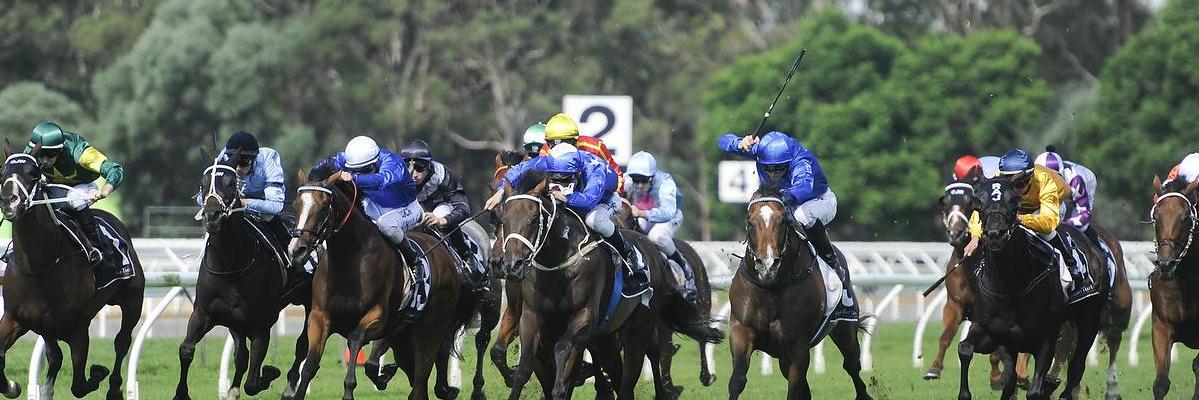 Daniel O'Sullivan (@TRBHorseRacing) / Posts / X