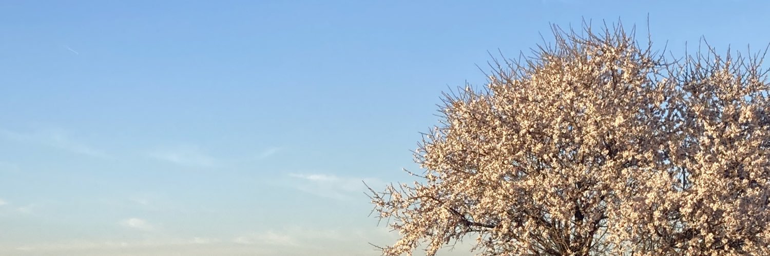 lucooni's profile banner image
