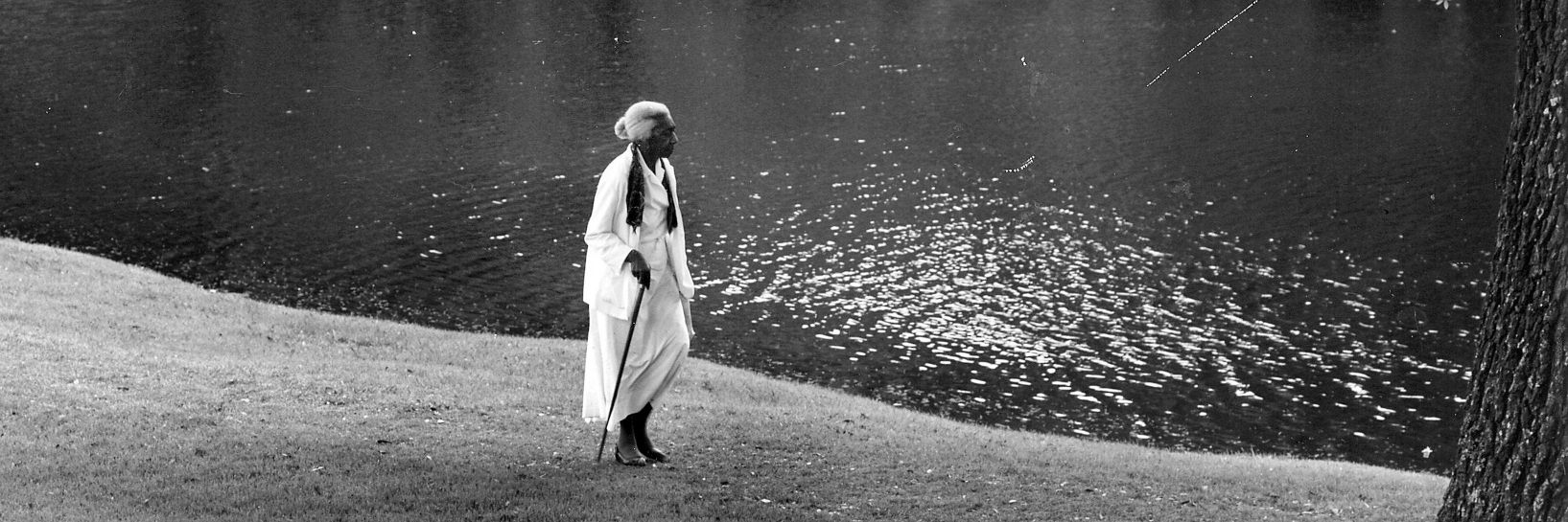 Thérèse Nelson banner