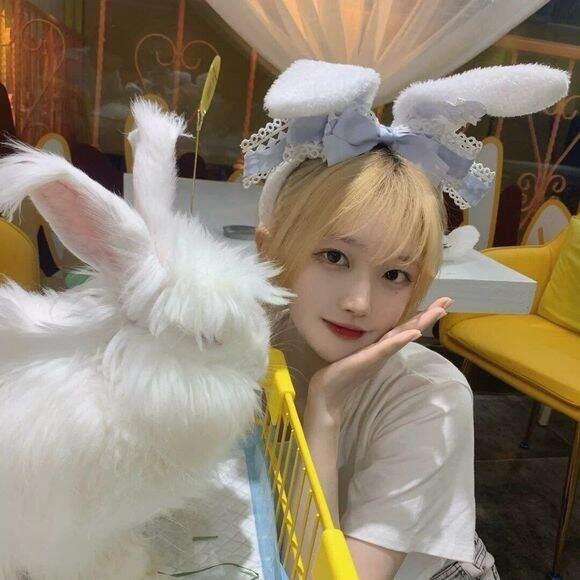 snowsboo's profile banner image