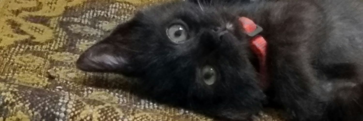 feriardiant's profile banner image