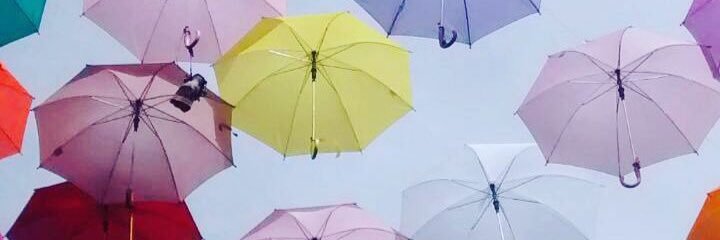 lizzy_hdl's profile banner image