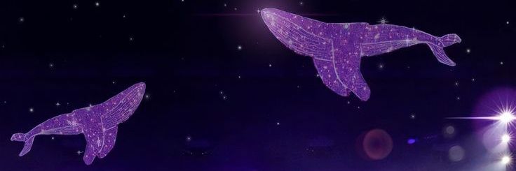Shisin58998's profile banner image