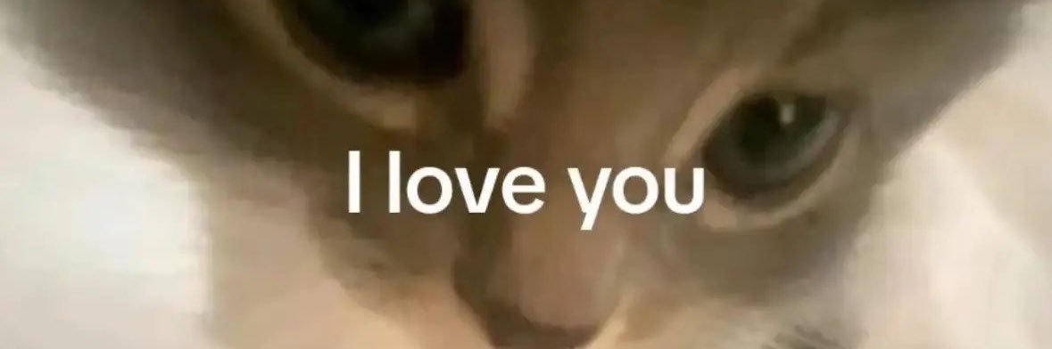 im in your mom’s house banner