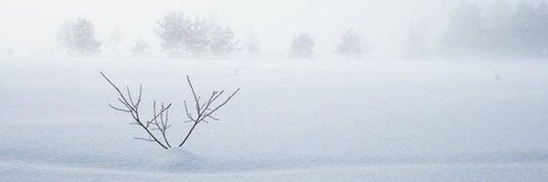 Rosep Profile Banner