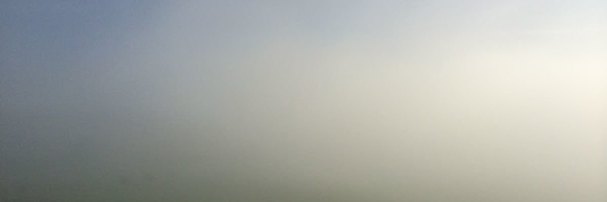 Rosemarie banner