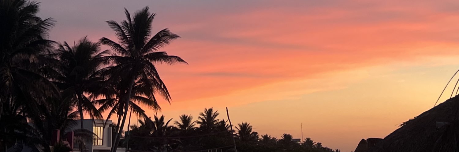 adrianacerv's profile banner image