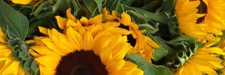 schotelmacaroni's profile banner image