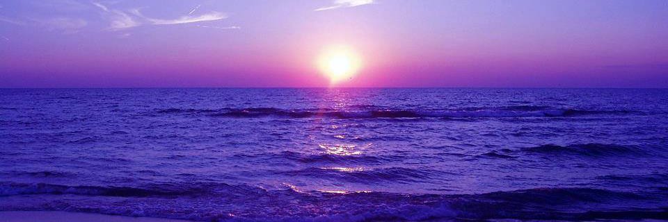 TaylorDeella's profile banner image