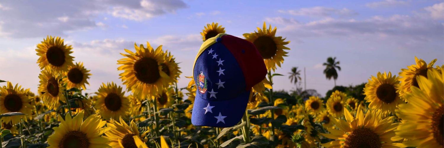 annatomia_'s profile banner image