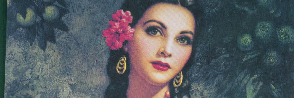 karla anaya banner