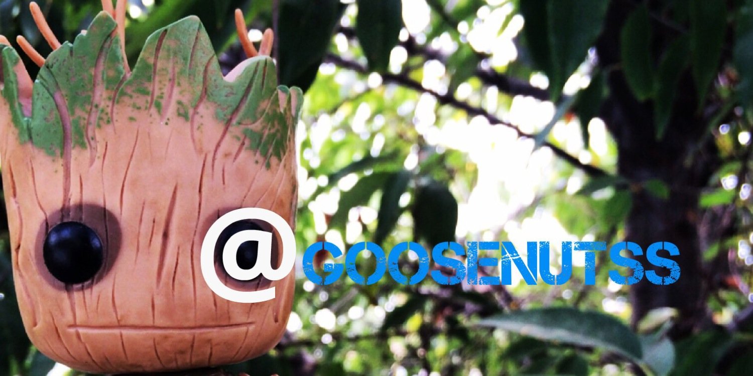 GooseNutss's profile banner image