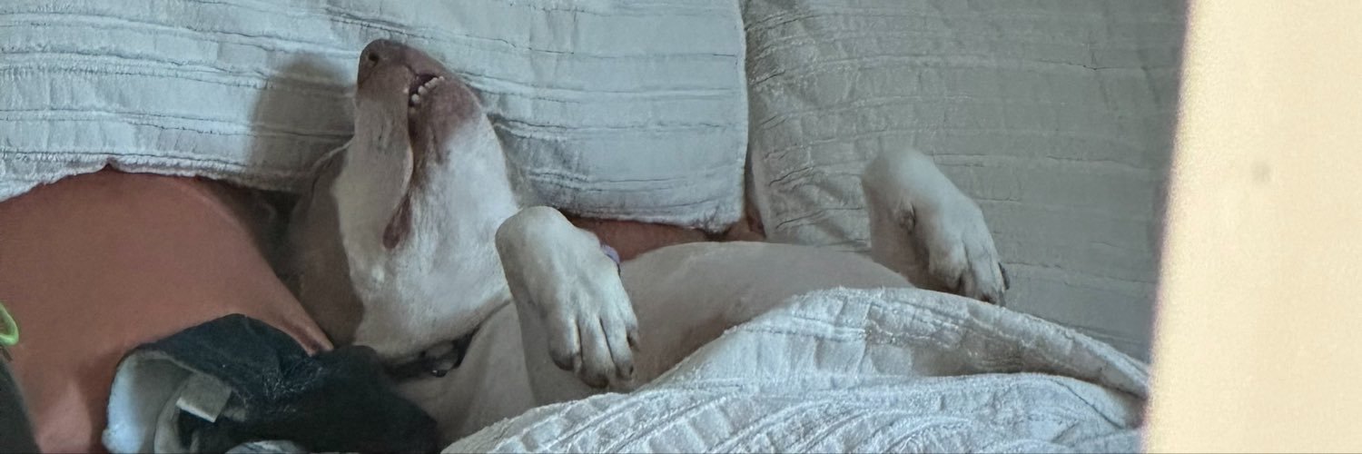 frankschicken's profile banner image