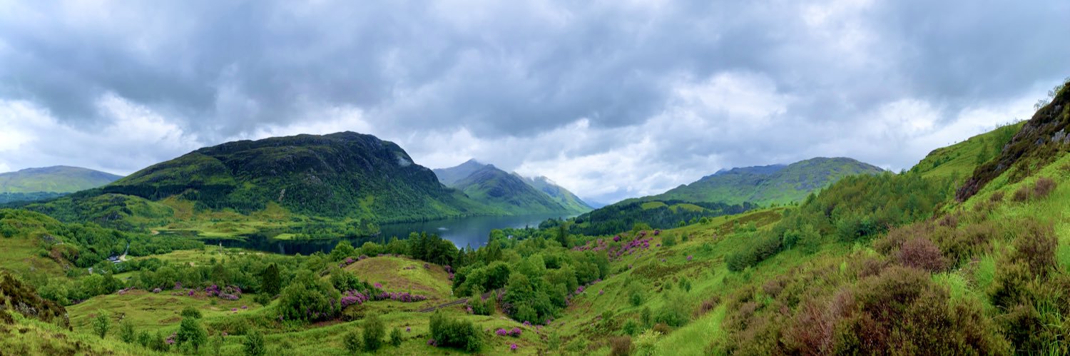 Esther Hwang, DO MPH banner