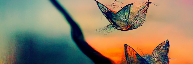 Gresshelm's profile banner image