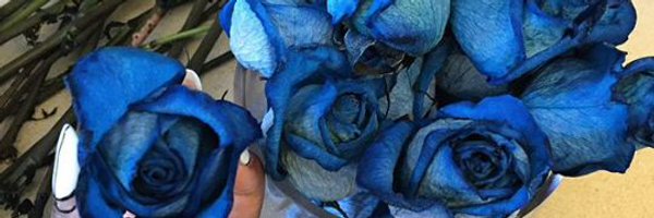 She_Glamorous Profile Banner