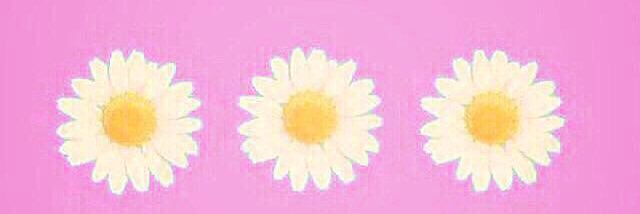 Torihiki_fff_17's profile banner image