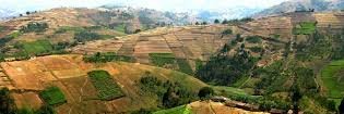 Province Cibitoke banner
