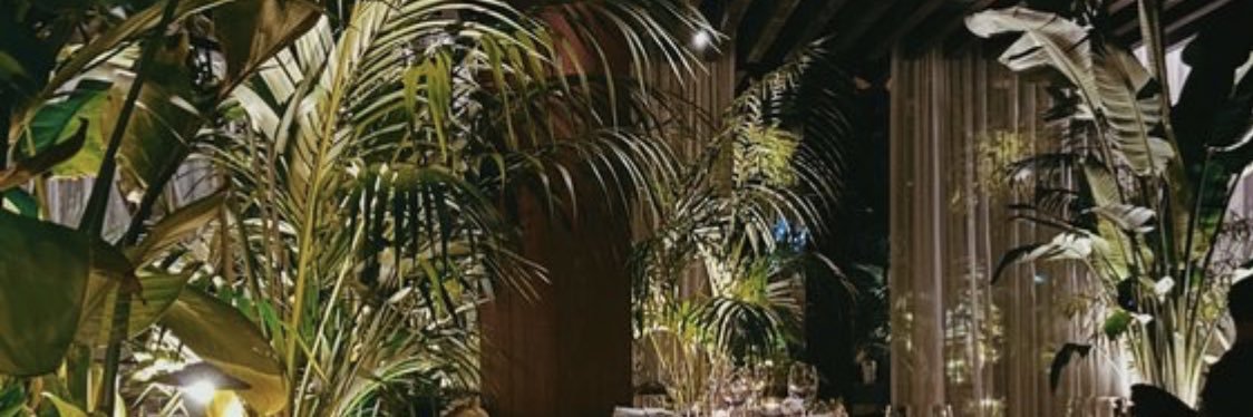 softswerv's profile banner image