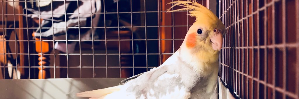 IsabelitaArce's profile banner image