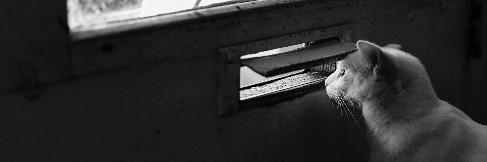 Post_Advisors's profile banner image