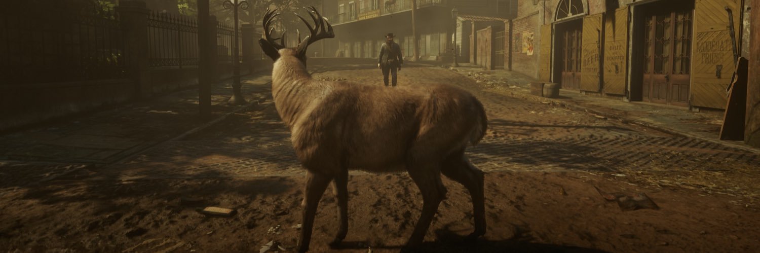 mardhotz's profile banner image