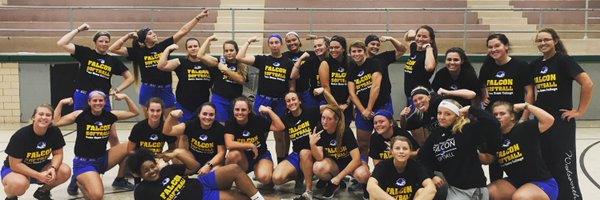 NDCsoftball Profile Banner