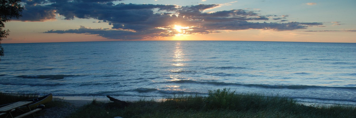 Colin McCarter banner