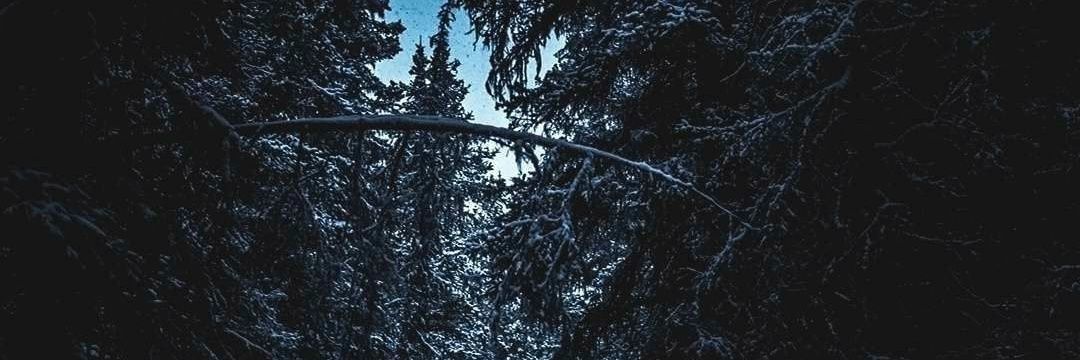 _daxti's profile banner image