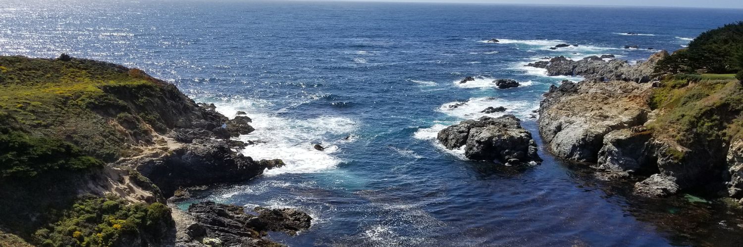 Michelle Olix banner