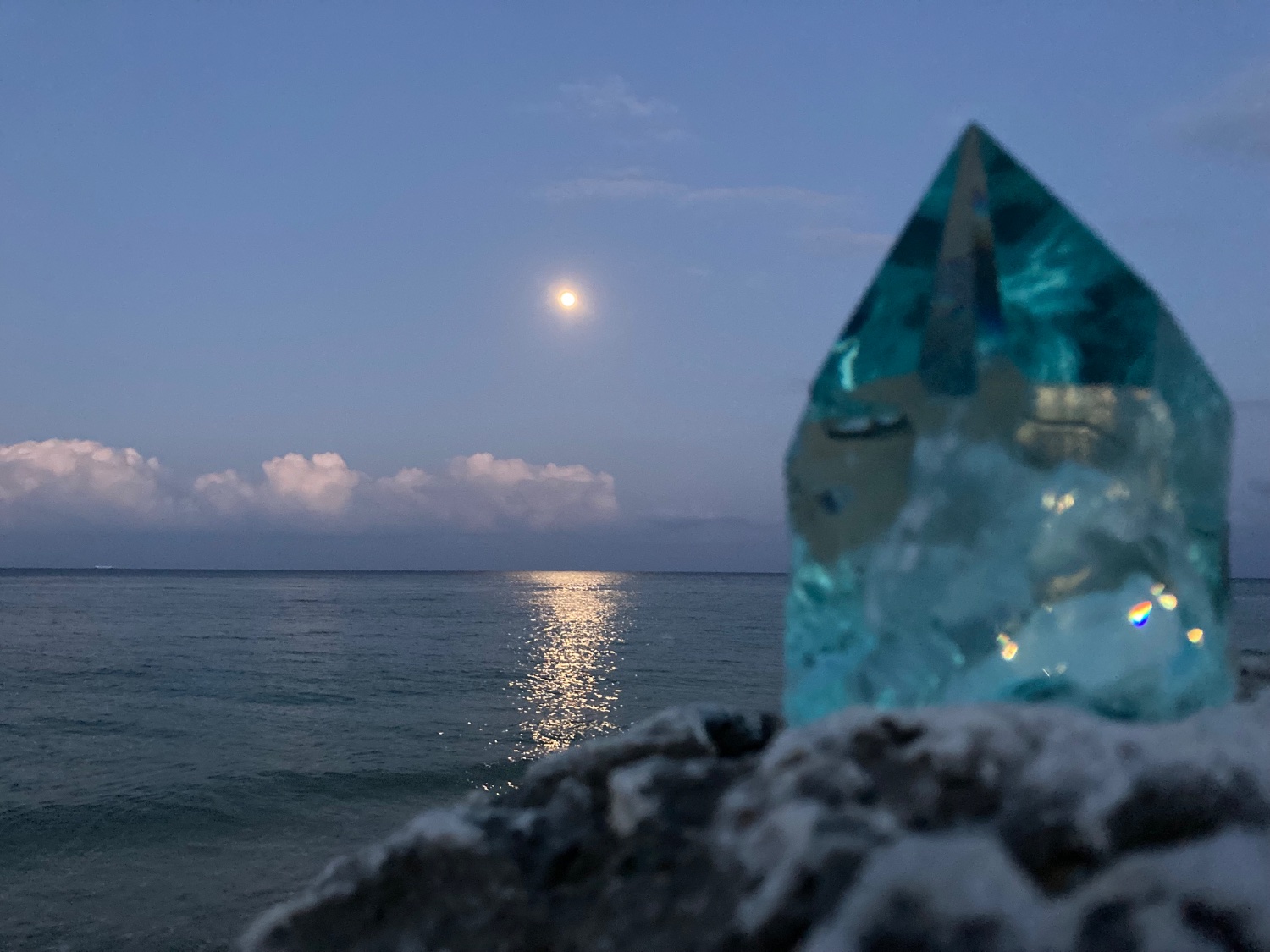 Tausendbilder banner