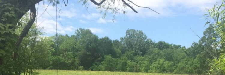 Stephanie Matson banner