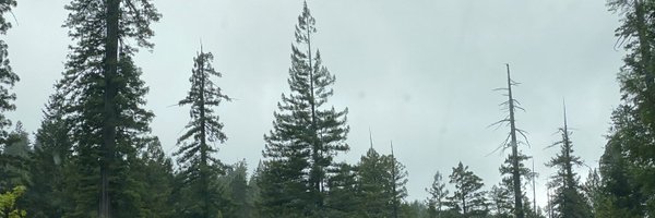 susangc812 Profile Banner