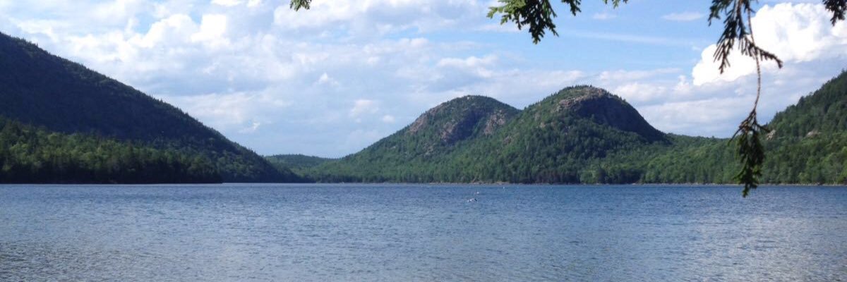 GoRicklefs2016's profile banner image