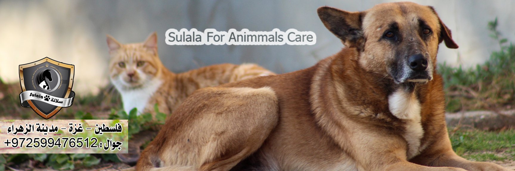 Sulala Animal Rescue's banner