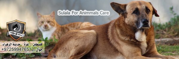SulalaSociety Profile Banner