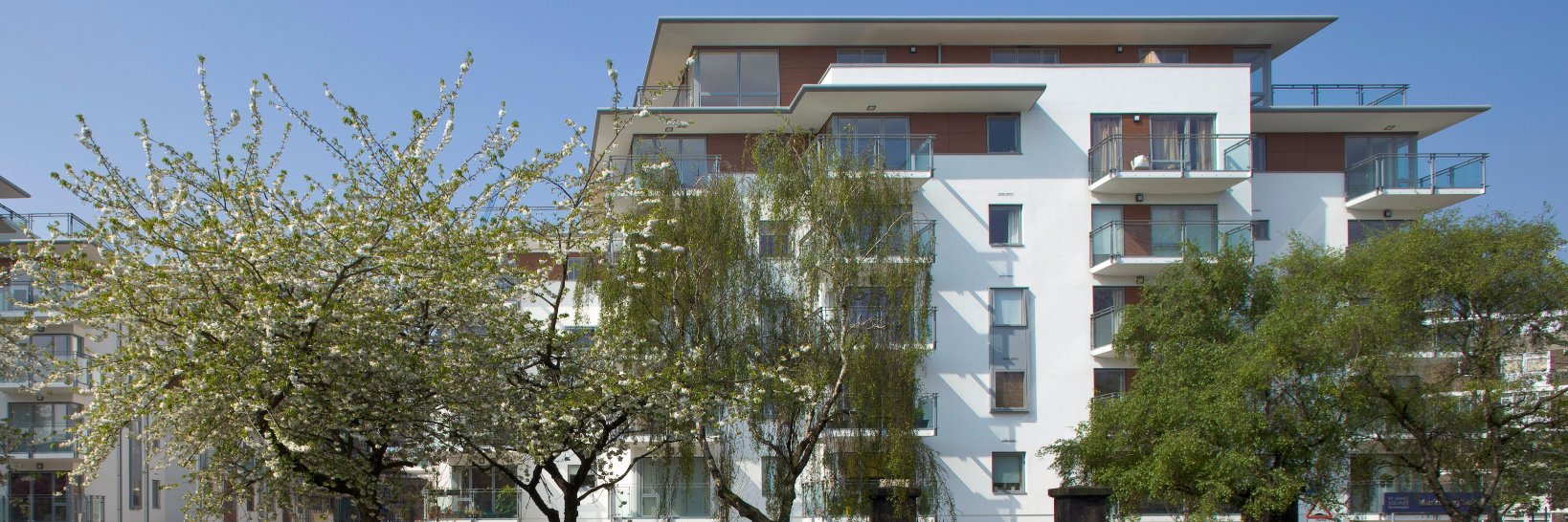 Switch2 Support banner