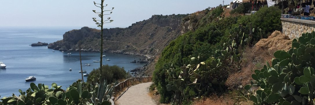 Sofia Vaccarino Gearty, MD, PhD banner